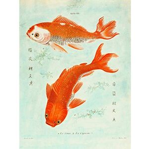 Wee Blue Coo Fish Japanese Koi Large Wall Art Print Canvas Premium Poster Wee Blue Coo Fish Japanese Koi Large Wall Art Print Canvas Premium Poster