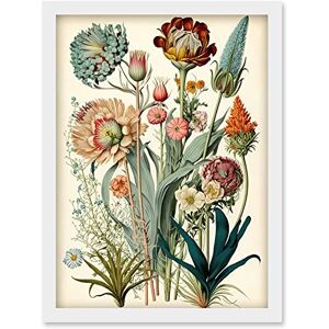 Artery8 Ernst Haeckel Inspired Vintage Botanical Plant Study Modern Watercolour Painting Illustration Artwork Framed Wall Art Print A4 Artery8 Ernst Haeckel Inspired Vintage Botanical Plant Study Modern Watercolour Painting Illustration Artwork Framed Wall Art Print A4