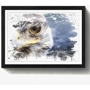 Arty Pie Framed Print Black A2 (24.5x18 Inch) Falcon Bird (1) V3, Wood, Multi-Colour, 60 x 42 x 2 cm Arty Pie Framed Print Black A2 (24.5x18 Inch) Falcon Bird (1) V3, Wood, Multi-Colour, 60 x 42 x 2 cm