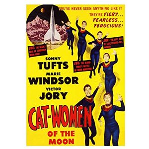 Wee Blue Coo Movie Film Cat Women Moon Crazy Sci Fi Adventure Wall Art Print Wee Blue Coo Movie Film Cat Women Moon Crazy Sci Fi Adventure Wall Art Print