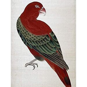 Artery8 Okamoto Pictures Flowers Birds Japanese 13 Painting Unframed Wall Art Print Poster Home Decor Premium Artery8 Okamoto Pictures Flowers Birds Japanese 13 Painting Unframed Wall Art Print Poster Home Decor Premium