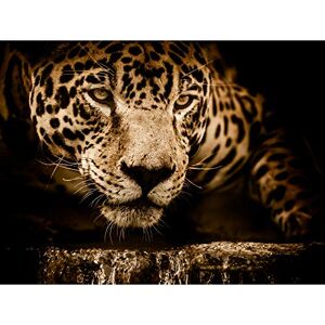 Fine Art Prints Jaguar Head Big Cat Large Canvas Wall Art Print Fine Art Prints Jaguar Head Big Cat Large Canvas Wall Art Print