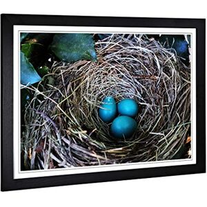 Big Box Art Framed Print of Birds Nest Duck Egg Blue Design Wall Art Picture Home Decor for Kitchen, Living, Dining Room, Bedroom, Hallway, Office, Black, A2 / 24.5x18 Inch / 62x45cm Big Box Art Framed Print of Birds Nest Duck Egg Blue Design Wall Art Picture Home Decor for Kitchen, Living, Dining Room, Bedroom, Hallway, Office, Black, A2 / 24.5x18 Inch / 62x45cm