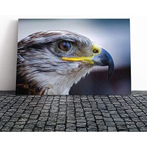 Big Box Art Falcon Bird (2) Canvas Print Gallery Wrapped 30mm Frame Wall Art 20x14 inches Ready to Hang Modern Animals Picture Living Room Bedroom Lounge Office Big Box Art Falcon Bird (2) Canvas Print Gallery Wrapped 30mm Frame Wall Art 20x14 inches Ready to Hang Modern Animals Picture Living Room Bedroom Lounge Office