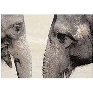 Wee Blue Coo Photo Nature Animal Elephants Face Pair Trunk Eyes Wrinkle Wall Art Print Wee Blue Coo Photo Nature Animal Elephants Face Pair Trunk Eyes Wrinkle Wall Art Print