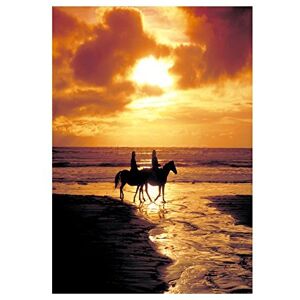 Wee Blue Coo Mp Photo Beach Horses Sunset Ocean Sand Waves Picture Wall Art Print Wee Blue Coo Mp Photo Beach Horses Sunset Ocean Sand Waves Picture Wall Art Print