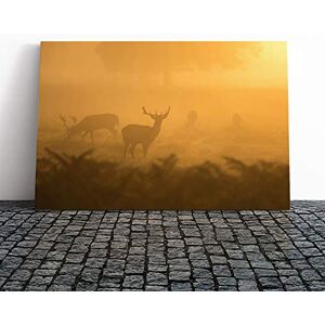 Big Box Art Stag Sunrise Landscape Canvas Print Gallery Wrapped 30mm Frame Wall Art 24x16 inches Ready to Hang Modern Animals Picture Living Room Bedroom Lounge Office Big Box Art Stag Sunrise Landscape Canvas Print Gallery Wrapped 30mm Frame Wall Art 24x16 inches Ready to Hang Modern Animals Picture Living Room Bedroom Lounge Office