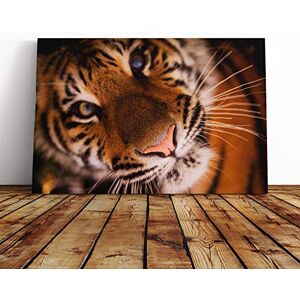 Big Box Art Tiger Vol.2 Canvas Print Gallery Wrapped 30mm Frame Wall Art 20x14 inches Ready to Hang Modern Animals Picture Living Room Bedroom Lounge Office Big Box Art Tiger Vol.2 Canvas Print Gallery Wrapped 30mm Frame Wall Art 20x14 inches Ready to Hang Modern Animals Picture Living Room Bedroom Lounge Office
