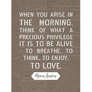 Artery8 Dictionary Inspiring Quote Marcus Aurelius Morning Precious Privilege Alive Large Wall Art Poster Print Thick Paper 18X24 Inch Artery8 Dictionary Inspiring Quote Marcus Aurelius Morning Precious Privilege Alive Large Wall Art Poster Print Thick Paper 18X24 Inch