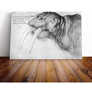 Big Box Art Canvas Print Wall Art Albrecht Durer Head of a Walrus Mounted and Stretched Box Frame Picture Home Decor for Kitchen, Living Room, Bedroom, Hallway, Multi-Colour, 20x14 Inch Big Box Art Canvas Print Wall Art Albrecht Durer Head of a Walrus Mounted and Stretched Box Frame Picture Home Decor for Kitchen, Living Room, Bedroom, Hallway, Multi-Colour, 20x14 Inch