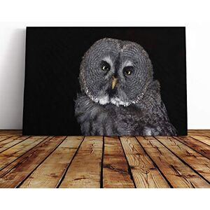 Big Box Art Owl Bird (2) Canvas Print Gallery Wrapped 30mm Frame Wall Art 20x14 inches Ready to Hang Modern Animals Picture Living Room Bedroom Lounge Office Big Box Art Owl Bird (2) Canvas Print Gallery Wrapped 30mm Frame Wall Art 20x14 inches Ready to Hang Modern Animals Picture Living Room Bedroom Lounge Office