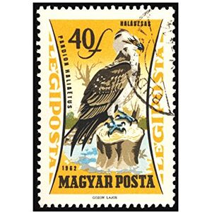 Wee Blue Coo Postage Stamp Hungary 40 Forint Osprey Bird Prey Picture Wall Art Print Wee Blue Coo Postage Stamp Hungary 40 Forint Osprey Bird Prey Picture Wall Art Print