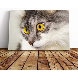 Big Box Art Cat Eyes (7) Canvas Print Gallery Wrapped 30mm Frame Wall Art 24x16 inches Ready to Hang Modern Animals Picture Living Room Bedroom Lounge Office Big Box Art Cat Eyes (7) Canvas Print Gallery Wrapped 30mm Frame Wall Art 24x16 inches Ready to Hang Modern Animals Picture Living Room Bedroom Lounge Office