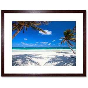 Wee Blue Coo Coconut Palms Beach Caribbean Paradise Photo Picture Framed Wall Art Print Wee Blue Coo Coconut Palms Beach Caribbean Paradise Photo Picture Framed Wall Art Print