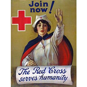 Wee Blue Coo Red Cross Nurse Humanitarian Charity Vintage Art Print Poster Wall Decor 12X16 Inch Wee Blue Coo Red Cross Nurse Humanitarian Charity Vintage Art Print Poster Wall Decor 12X16 Inch