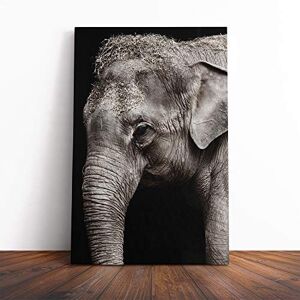 Big Box Art Elephant (5) Canvas Print Gallery Wrapped 30mm Frame Wall Art 30x20 inches Ready to Hang Modern Animals Picture Living Room Bedroom Lounge Office Big Box Art Elephant (5) Canvas Print Gallery Wrapped 30mm Frame Wall Art 30x20 inches Ready to Hang Modern Animals Picture Living Room Bedroom Lounge Office