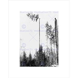 Wee Blue Coo VINTAGE LANDSCAPE FOREST TREE PINE LOGGING TIMBER USA FRAMED ART PRINT B12X3488 Wee Blue Coo VINTAGE LANDSCAPE FOREST TREE PINE LOGGING TIMBER USA FRAMED ART PRINT B12X3488