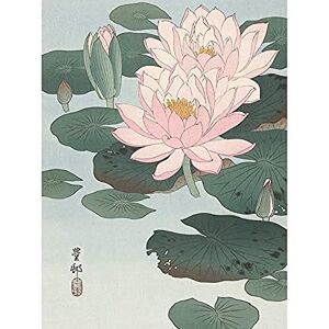 Artery8 Ohara Koson Flowering Water Lily Painting Art Print Canvas Premium Wall Decor Poster Mural Artery8 Ohara Koson Flowering Water Lily Painting Art Print Canvas Premium Wall Decor Poster Mural