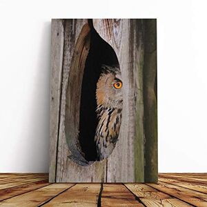 Big Box Art Owl Bird (1) Canvas Print Gallery Wrapped 30mm Frame Wall Art 24x16 inches Ready to Hang Modern Animals Picture Living Room Bedroom Lounge Office Big Box Art Owl Bird (1) Canvas Print Gallery Wrapped 30mm Frame Wall Art 24x16 inches Ready to Hang Modern Animals Picture Living Room Bedroom Lounge Office
