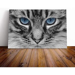 Big Box Art Cat Eyes (4) Canvas Print Gallery Wrapped 30mm Frame Wall Art 24x16 inches Ready to Hang Modern Animals Picture Living Room Bedroom Lounge Office Big Box Art Cat Eyes (4) Canvas Print Gallery Wrapped 30mm Frame Wall Art 24x16 inches Ready to Hang Modern Animals Picture Living Room Bedroom Lounge Office