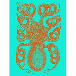 Fine Art Prints Octopus Orange Blue Illustration Art Print Canvas Premium Wall Decor Poster Fine Art Prints Octopus Orange Blue Illustration Art Print Canvas Premium Wall Decor Poster