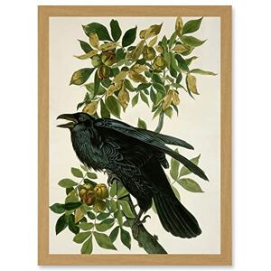 Artery8 - Audubon - A4 - Framed Wall Art Artery8 - Audubon - A4 - Framed Wall Art