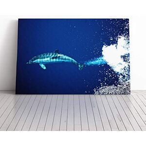 Big Box Art Dolphin Vol.2 Canvas Print Gallery Wrapped 30mm Frame Wall Art 20x14 inches Ready to Hang Modern Animals Picture Living Room Bedroom Lounge Office Big Box Art Dolphin Vol.2 Canvas Print Gallery Wrapped 30mm Frame Wall Art 20x14 inches Ready to Hang Modern Animals Picture Living Room Bedroom Lounge Office