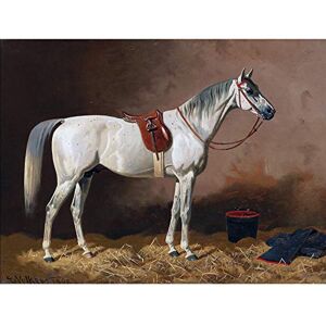 Fine Art Prints Volkers Wandbild, Motiv: graues Pferd im Stall, Tier, Pferd, großes Poster Fine Art Prints Volkers Wandbild, Motiv: graues Pferd im Stall, Tier, Pferd, großes Poster