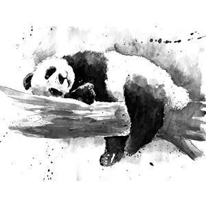 Wee Blue Coo Panda Sleeping Watercolour Art Print Poster Wall Decor 12X16 Inch Wee Blue Coo Panda Sleeping Watercolour Art Print Poster Wall Decor 12X16 Inch