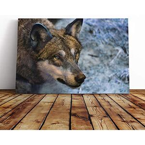 Big Box Art Canvas Print Wall Art Wolf in The Wild (2) Mounted and Stretched Box Frame Picture Home Decor for Kitchen, Living, Dining Room, Bedroom, Hallway, Multi-Colour, 20x14 Inch Big Box Art Canvas Print Wall Art Wolf in The Wild (2) Mounted and Stretched Box Frame Picture Home Decor for Kitchen, Living, Dining Room, Bedroom, Hallway, Multi-Colour, 20x14 Inch