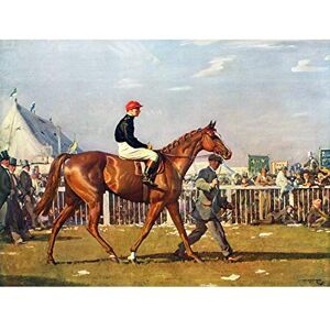 Artery8 Sir Alfred James Munnings Racehorse Jockey 1924 Premium Wall Art Canvas Print 18X24 Inch Artery8 Sir Alfred James Munnings Racehorse Jockey 1924 Premium Wall Art Canvas Print 18X24 Inch