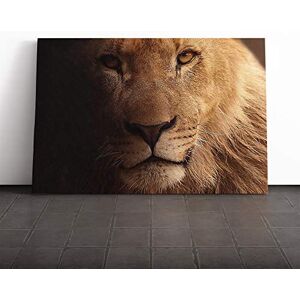 Big Box Art Lion Canvas Print Gallery Wrapped 30mm Frame Wall Art 24x16 inches Ready to Hang Modern Animals Picture Living Room Bedroom Lounge Office Big Box Art Lion Canvas Print Gallery Wrapped 30mm Frame Wall Art 24x16 inches Ready to Hang Modern Animals Picture Living Room Bedroom Lounge Office