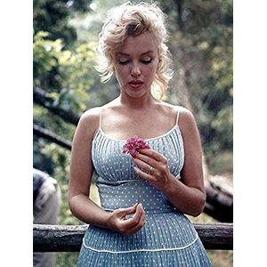 Buyartforless Marilyn Monroe Flower 12x16 Poster - Photo Art Buyartforless Marilyn Monroe Flower 12x16 Poster - Photo Art
