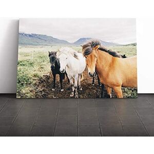 Big Box Art The Three Horses Canvas Print Gallery Wrapped 30mm Frame Wall Art 20x14 inches Ready to Hang Modern Animals Picture Living Room Bedroom Lounge Office Big Box Art The Three Horses Canvas Print Gallery Wrapped 30mm Frame Wall Art 20x14 inches Ready to Hang Modern Animals Picture Living Room Bedroom Lounge Office