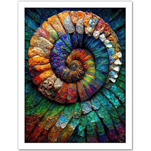 Doppelganger33 LTD Bright Multicoloured Ammonite Fossil Artwork Framed Wall Art Print 18X24 inch Doppelganger33 LTD Bright Multicoloured Ammonite Fossil Artwork Framed Wall Art Print 18X24 inch