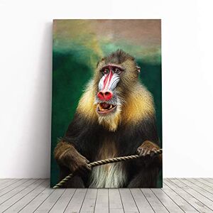 Big Box Art Mandrill Baboon Monkey Canvas Print Gallery Wrapped 30mm Frame Wall Art 20x14 inches Ready to Hang Modern Animals Picture Living Room Bedroom Lounge Office Big Box Art Mandrill Baboon Monkey Canvas Print Gallery Wrapped 30mm Frame Wall Art 20x14 inches Ready to Hang Modern Animals Picture Living Room Bedroom Lounge Office