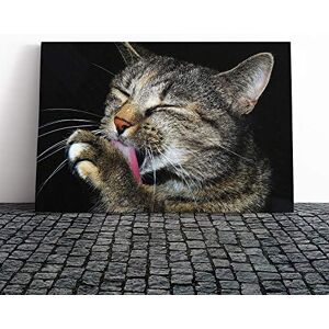 Big Box Art Cat Licking its Paw Canvas Print Gallery Wrapped 30mm Frame Wall Art 30x20 inches Ready to Hang Modern Animals Picture Living Room Bedroom Lounge Office Big Box Art Cat Licking its Paw Canvas Print Gallery Wrapped 30mm Frame Wall Art 30x20 inches Ready to Hang Modern Animals Picture Living Room Bedroom Lounge Office