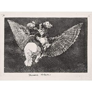 Fine Art Prints Goya Y Lucientes Francisco De Flying Folly Kunstdruck auf Leinwand, Premium-Poster, Wandbild Fine Art Prints Goya Y Lucientes Francisco De Flying Folly Kunstdruck auf Leinwand, Premium-Poster, Wandbild