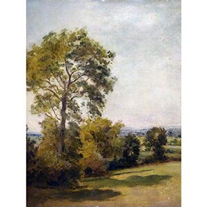 Artery8 Lionel Bicknell Constable Tree In A Landsdcape Painting Premium Wall Art Canvas Print 18X24 Inch Artery8 Lionel Bicknell Constable Tree In A Landsdcape Painting Premium Wall Art Canvas Print 18X24 Inch