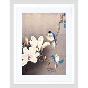 Wee Blue Coo Nature Japan Ohara Koson Bird Flower Picture Framed Wall Art Print Wee Blue Coo Nature Japan Ohara Koson Bird Flower Picture Framed Wall Art Print