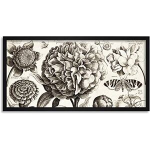 Artery8 Hollar Peony Rose Flower Botanical Etching Framed Wall Art Print Long 25X12 Inch Artery8 Hollar Peony Rose Flower Botanical Etching Framed Wall Art Print Long 25X12 Inch