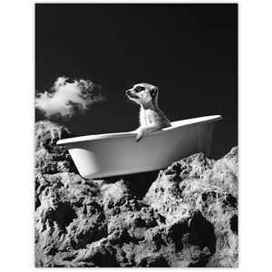 Artery8 Meerkat in Bathtub on a Rock Black White Surreal Living Room Large Wall Art Poster Print Thick Paper 18X24 Inch Artery8 Meerkat in Bathtub on a Rock Black White Surreal Living Room Large Wall Art Poster Print Thick Paper 18X24 Inch