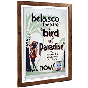 Big Box Art Framed Print of Vintage WPA Poster Bird of Paradise Design Wall Art Picture Home Decor for Kitchen, Living Room, Bedroom, Hallway, Walnut, A2 / 24.5x18 Inch / 62x45cm Big Box Art Framed Print of Vintage WPA Poster Bird of Paradise Design Wall Art Picture Home Decor for Kitchen, Living Room, Bedroom, Hallway, Walnut, A2 / 24.5x18 Inch / 62x45cm