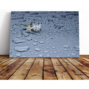 Big Box Art Canvas Print Wall Art Water Droplet Rain Abstract and White Flower Mounted & Stretched Box Frame Picture Home Decor for Kitchen, Living Room, Bedroom, Hallway, Multi-Colour, 30x20 Inch Big Box Art Canvas Print Wall Art Water Droplet Rain Abstract and White Flower Mounted & Stretched Box Frame Picture Home Decor for Kitchen, Living Room, Bedroom, Hallway, Multi-Colour, 30x20 Inch