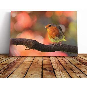 Big Box Art Robin Bird Blurred Background Canvas Print Gallery Wrapped 30mm Frame Wall Art 30x20 inches Ready to Hang Modern Animals Picture Living Room Bedroom Lounge Office Big Box Art Robin Bird Blurred Background Canvas Print Gallery Wrapped 30mm Frame Wall Art 30x20 inches Ready to Hang Modern Animals Picture Living Room Bedroom Lounge Office