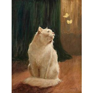 Wee Blue Coo LTD PAINTING HEYER WHITE CAT AND TWO BUTTERFLIES ART PRINT PICTURE POSTER HP2957 Wee Blue Coo LTD PAINTING HEYER WHITE CAT AND TWO BUTTERFLIES ART PRINT PICTURE POSTER HP2957