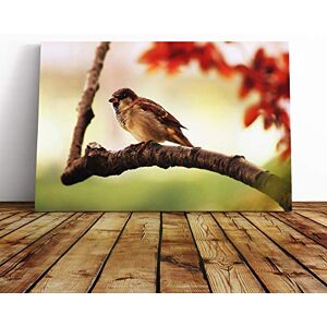 Big Box Art Sparrow Tree Branch Canvas Print Gallery Wrapped 30mm Frame Wall Art 24x16 inches Ready to Hang Modern Animals Picture Living Room Bedroom Lounge Office Big Box Art Sparrow Tree Branch Canvas Print Gallery Wrapped 30mm Frame Wall Art 24x16 inches Ready to Hang Modern Animals Picture Living Room Bedroom Lounge Office
