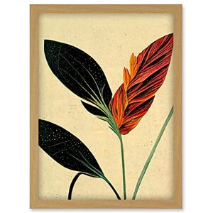 Doppelganger33 LTD Minimalist Tropical Flower Bloom Black Ochre Botanical Artwork Framed Wall Art Print A4 Doppelganger33 LTD Minimalist Tropical Flower Bloom Black Ochre Botanical Artwork Framed Wall Art Print A4