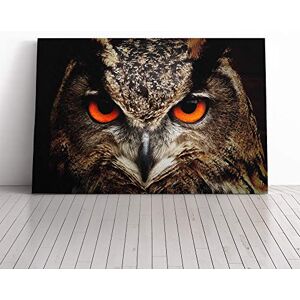 Big Box Art Owl Bird (8) Canvas Print Gallery Wrapped 30mm Frame Wall Art 24x16 inches Ready to Hang Modern Animals Picture Living Room Bedroom Lounge Office Big Box Art Owl Bird (8) Canvas Print Gallery Wrapped 30mm Frame Wall Art 24x16 inches Ready to Hang Modern Animals Picture Living Room Bedroom Lounge Office