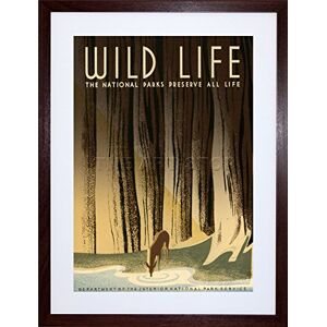 Wee Blue Coo National Parks Wild Life Deer Trees Picture Framed Wall Art Print Wee Blue Coo National Parks Wild Life Deer Trees Picture Framed Wall Art Print
